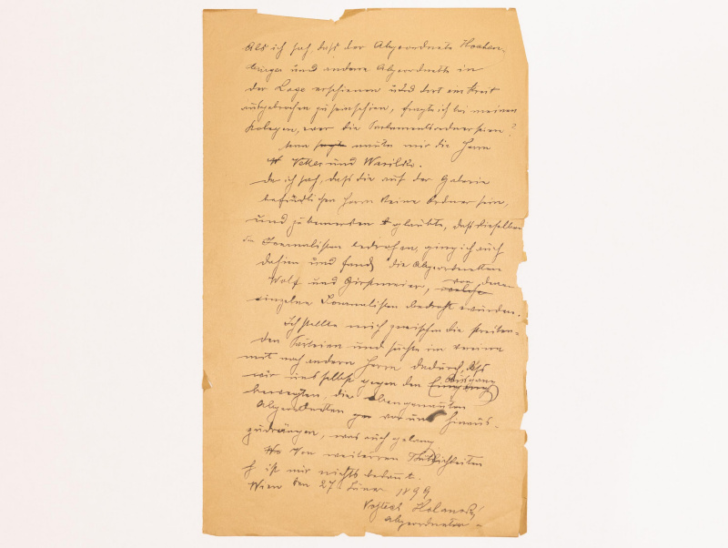 Protokoll Nr. 17: Aussage des Abgeordneten Vojtěch Holanský am 27. Jänner 1899