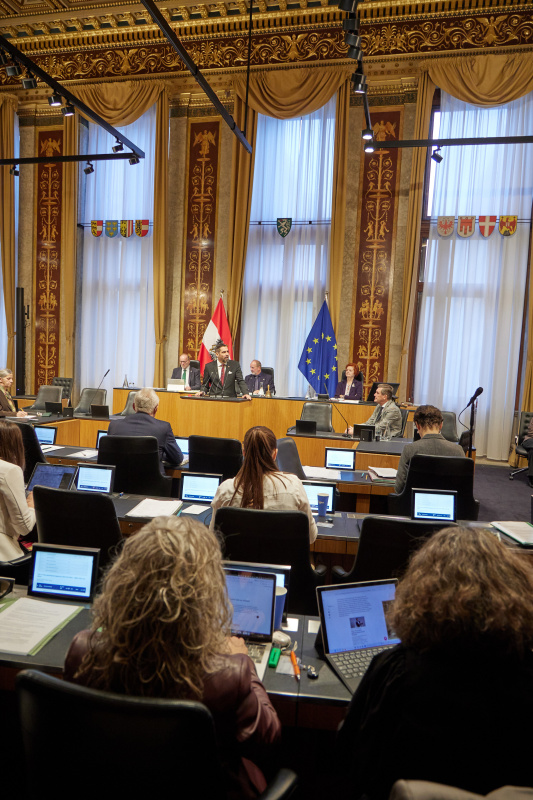 Am Rednerpult: Bundesrat Daniel Schmid (SPÖ)