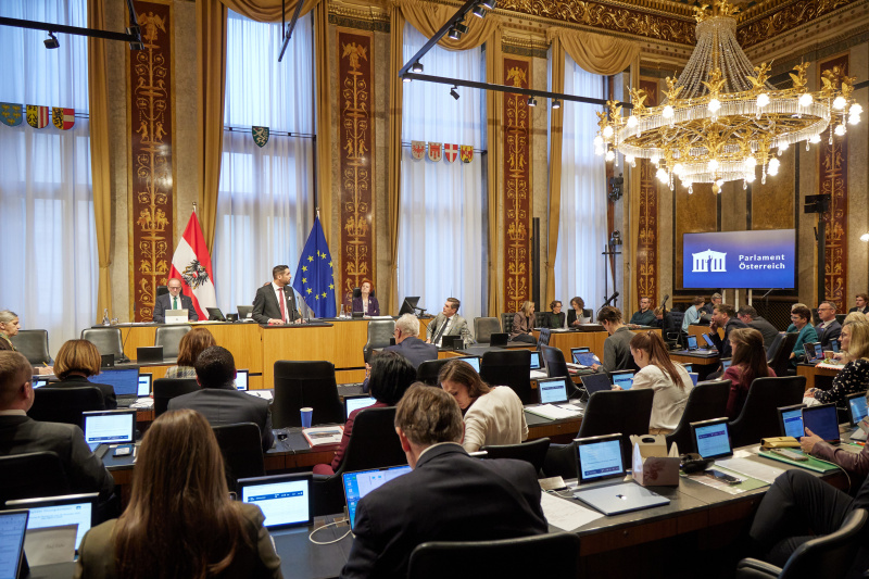 Am Rednerpult: Bundesrat Daniel Schmid (SPÖ)