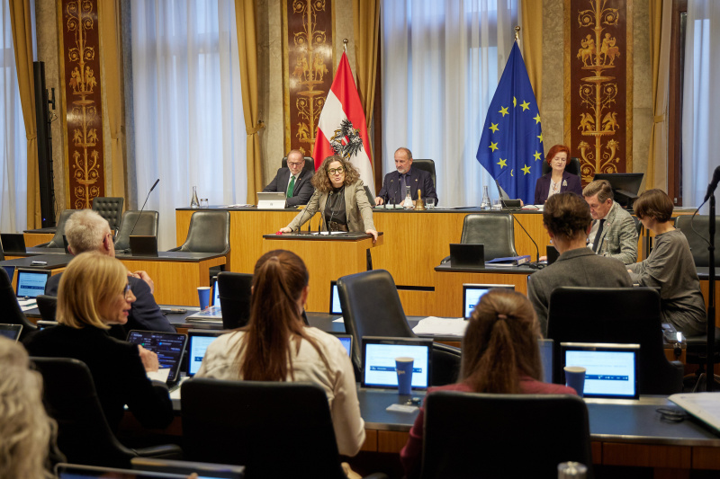 Am Rednerpult: Bundesrätin Elisabeth Kittl (GRÜNE)