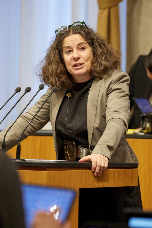 Am Rednerpult: Bundesrätin Elisabeth Kittl (GRÜNE)