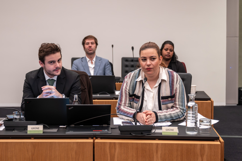 Ausschussmitglied der Grünen. Nationalratsabgeordnete Nina Tomaselli (GRÜNE)