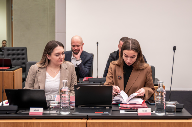 Ausschussmitglied der NEOS. Nationalratsabgeordnete Sophie Wotschke (NEOS)