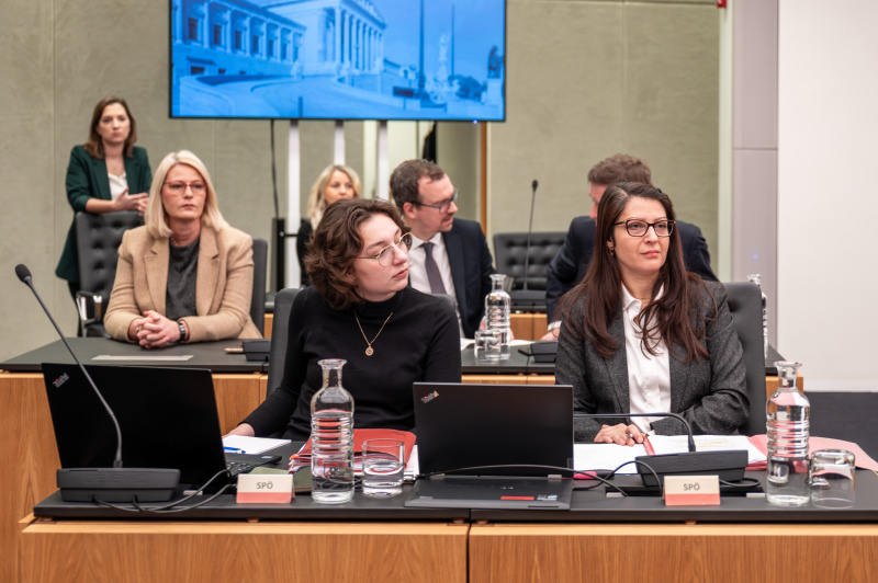 Ausschussmitglieder der SPÖ.  Nationalratsabgeordnete Muna Duzdar (SPÖ) (rechts)