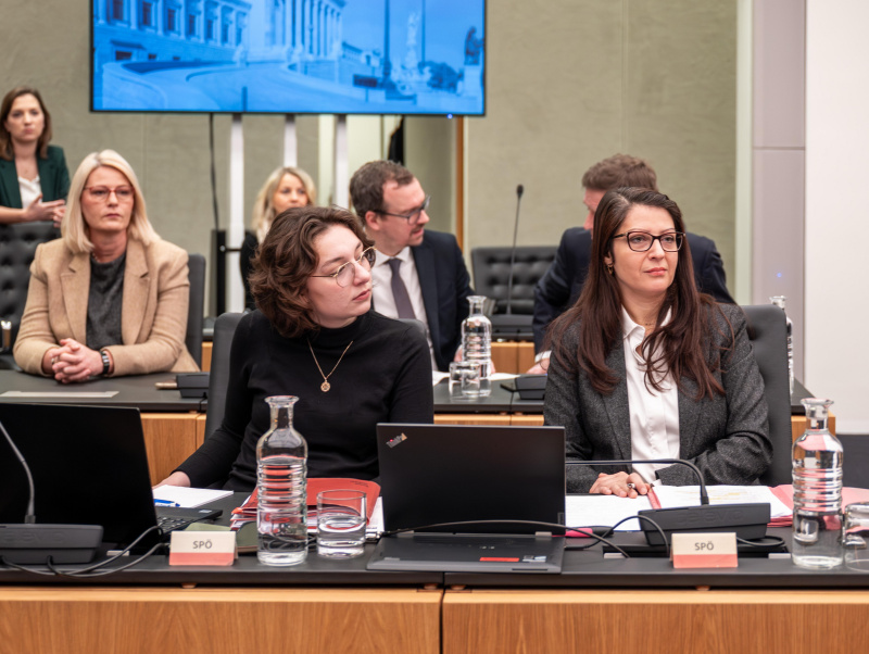 Ausschussmitglieder der SPÖ.  Nationalratsabgeordnete Muna Duzdar (SPÖ) (rechts)