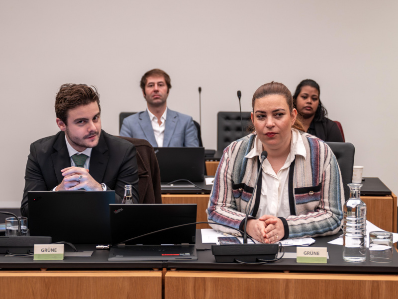 Ausschussmitglied der Grünen. Nationalratsabgeordnete Nina Tomaselli (GRÜNE)