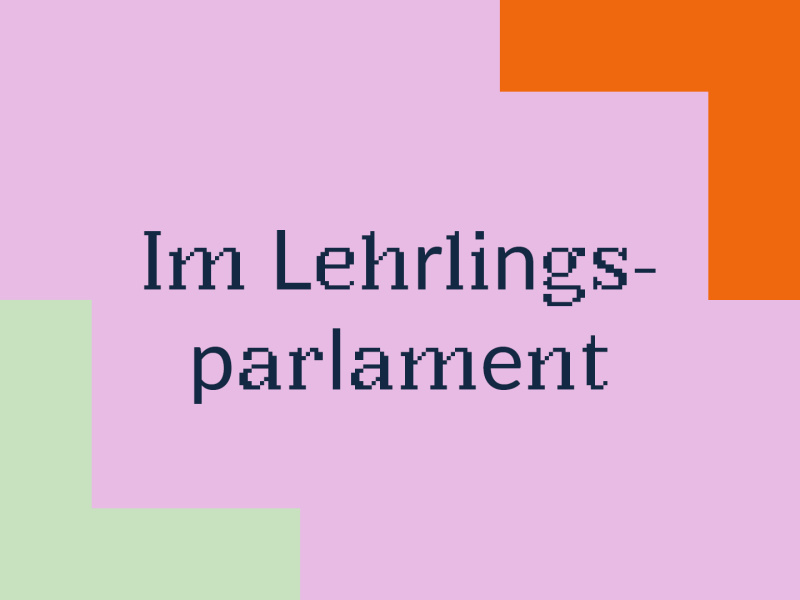 Im Lehrlingsparlament