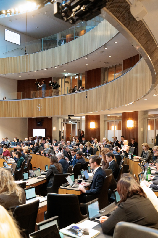 Blick Richtung Sitzungsteilnehmerinnen und -teilnehmer