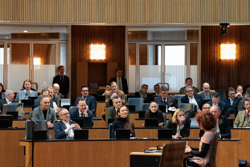 Blick Richtung Sitzungsteilnehmerinnen und -teilnehmer