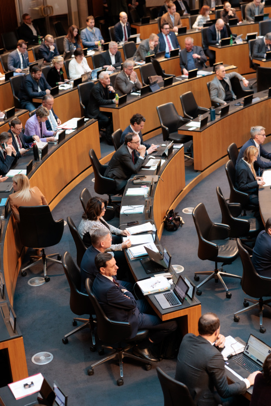 Blick Richtung Sitzungsteilnehmerinnen und -teilnehmer