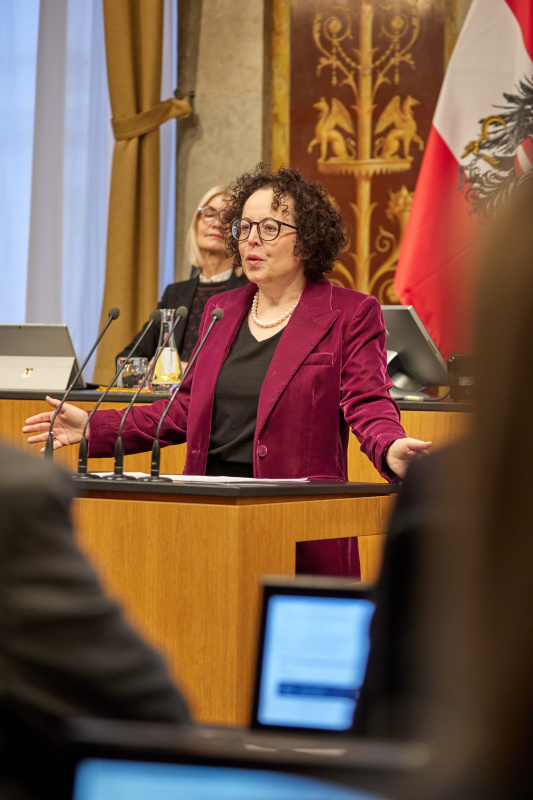 Am Rednerpult: Bundesrätin Christine Schwarz-Fuchs (ÖVP)