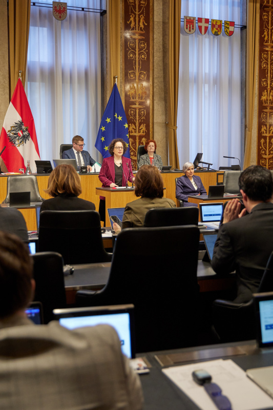 Am Rednerpult: Bundesrätin Christine Schwarz-Fuchs (ÖVP)