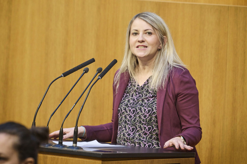 Am Rednerinnenpult Nationalratsabgeordnete Silvia Kumpan-Takacs (SPÖ)
