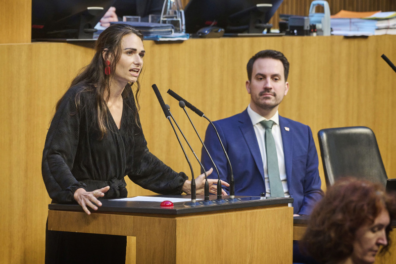 Am Rednerinnenpult Nationalratsabgeordnete Barbara Neßler (GRÜNE). Auf der Regierungsbank Bildungsminister Christoph Wiederkehr (NEOS)