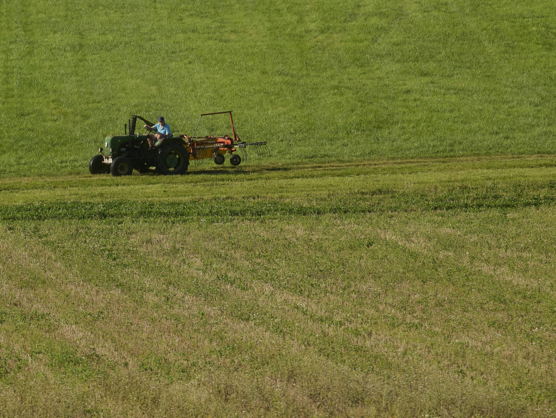 Traktor auf grünem Feld in Laab am Walde
