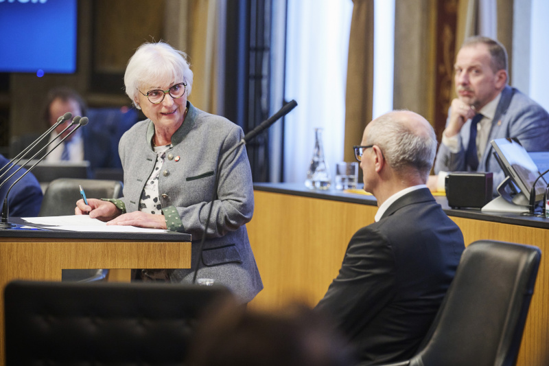 Am Rednerinnenpult Bundesrätin Irene Partl (FPÖ)