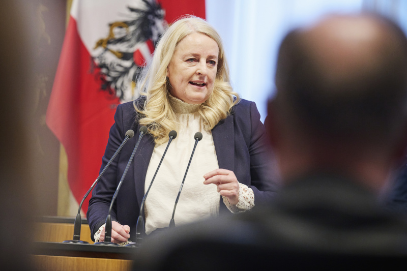 Am Rednerinnenpult Bundesrätin Claudia Arpa (SPÖ)