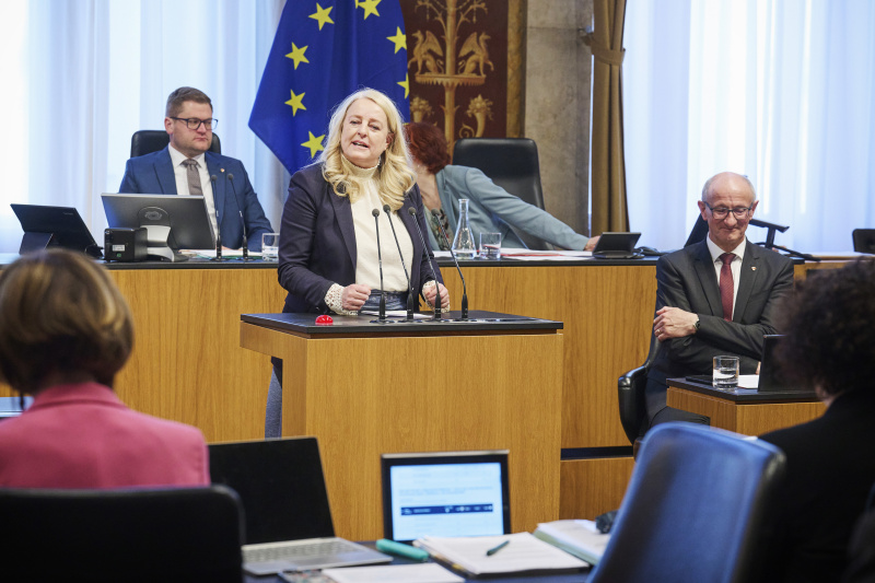 Am Rednerinnenpult Bundesrätin Claudia Arpa (SPÖ)