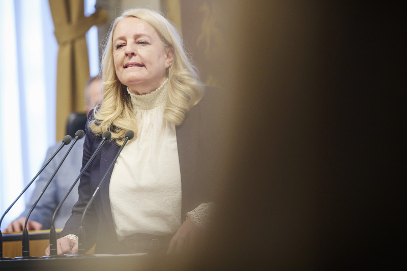 Am Rednerinnenpult Bundesrätin Claudia Arpa (SPÖ)