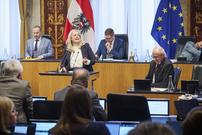 Am Rednerinnenpult Bundesrätin Claudia Arpa (SPÖ)