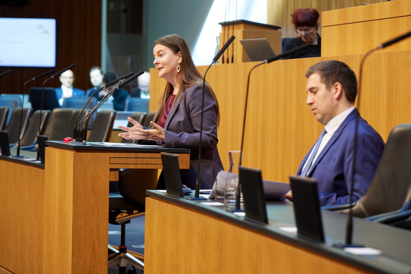 Am Rednerinnenpult: Nationalratsabgeordnete Karin Doppelbauer (NEOS)