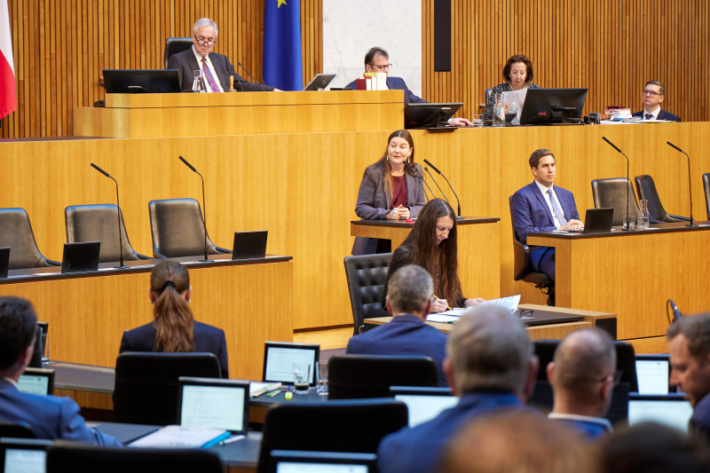 Am Rednerinnenpult: Nationalratsabgeordnete Karin Doppelbauer (NEOS)