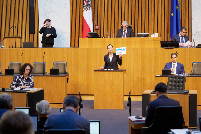 Am Rednerinnenpult: Nationalratsabgeordnete Susanne Fürst (FPÖ)