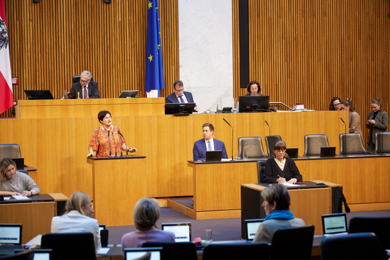 Am Rednerinnenpult: Nationalratsabgeordnete Petra Bayr (SPÖ)