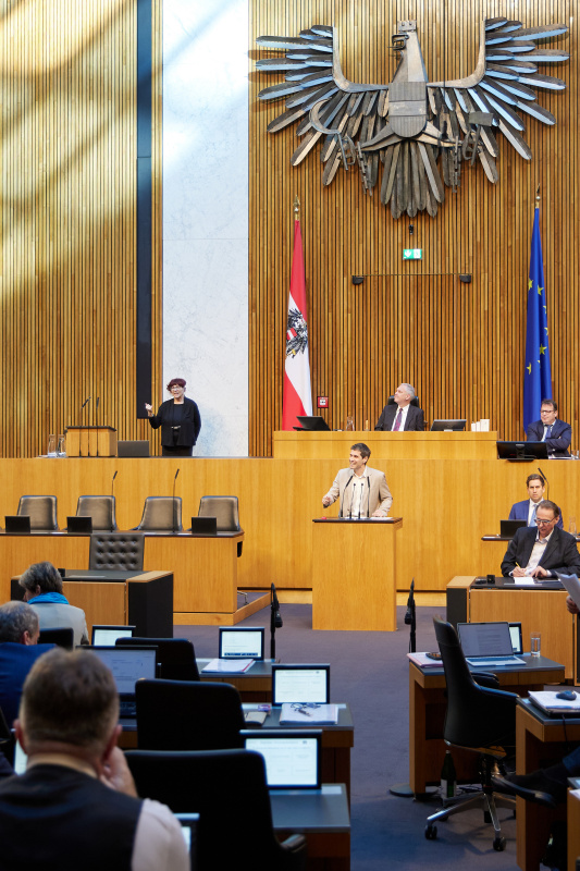 Am Rednerpult: Nationalratsabgeordneter Lukas Hammer (GRÜNE)