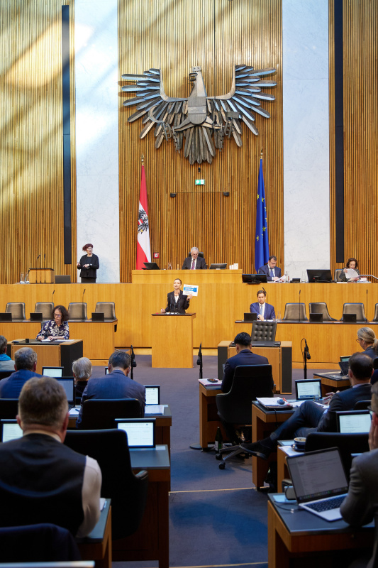 Am Rednerinnenpult: Nationalratsabgeordnete Susanne Fürst (FPÖ)