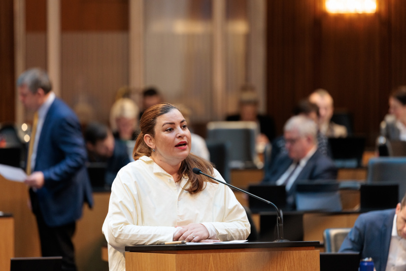 Am Wort: Nationalratsabgeordnete Nina Tomaselli (GRÜNE)