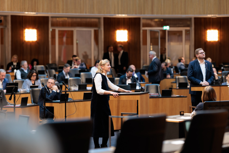 Am Wort: Nationalratsabgeordnete Barbara Treiber (SPÖ)