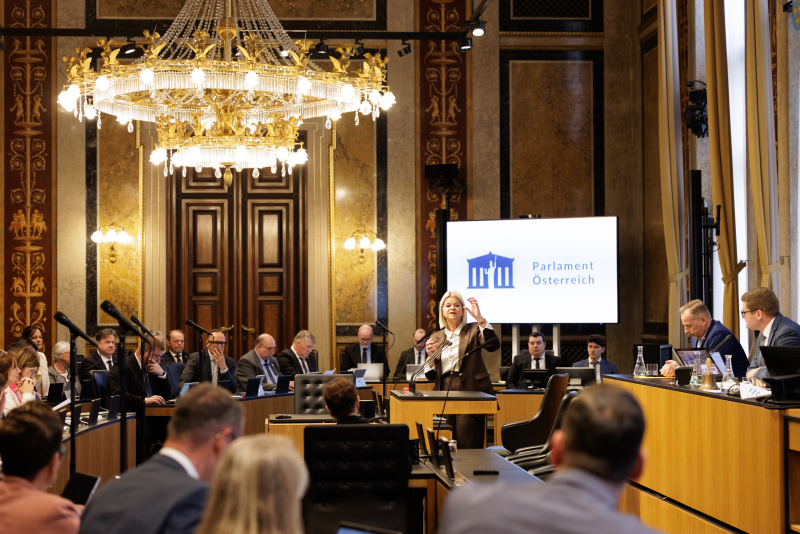 Am Rednerinnenpult: Verteidigungsministerin Klaudia Tanner (ÖVP)