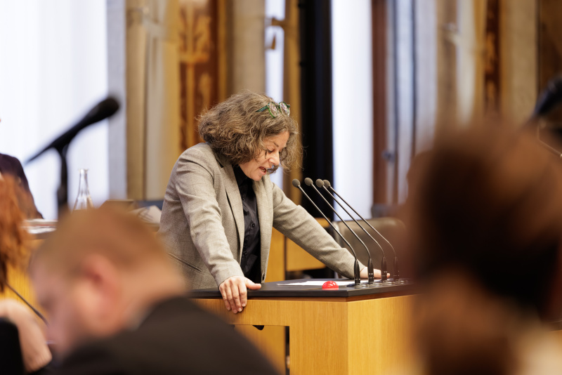 Am Rednerinnenpult: Bundesrätin Elisabeth Kittl (GRÜNE)
