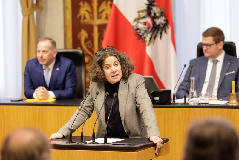 Am Rednerinnenpult: Bundesrätin Elisabeth Kittl (GRÜNE)