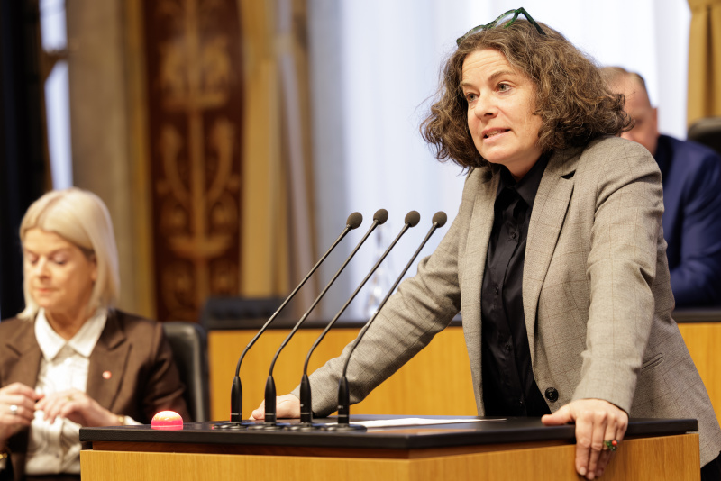 Am Rednerinnenpult: Bundesrätin Elisabeth Kittl (GRÜNE)