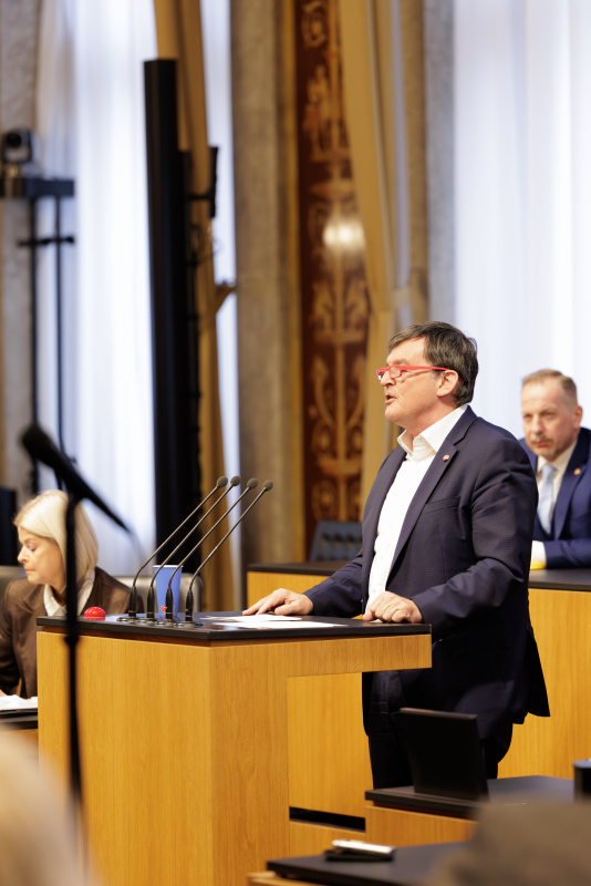 Am Rednerpult: Bundesrat Michael Wanner (SPÖ)