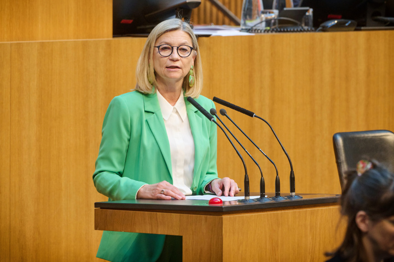 Am Rednerinnenpult: Nationalratsabgeordnete Daniela Gmeinbauer (ÖVP)