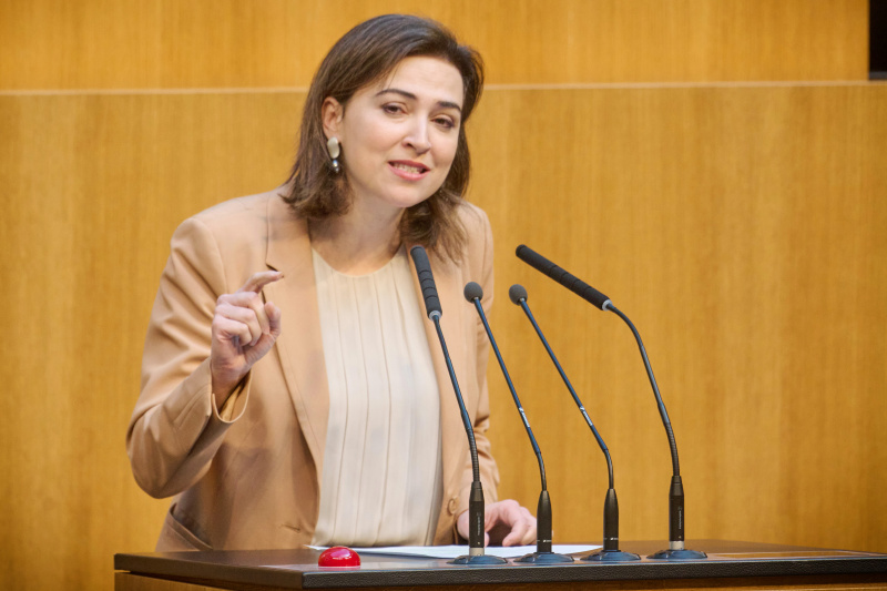Am Rednerinnenpult: Nationalratsabgeordnete Alma Zadić (GRÜNE)