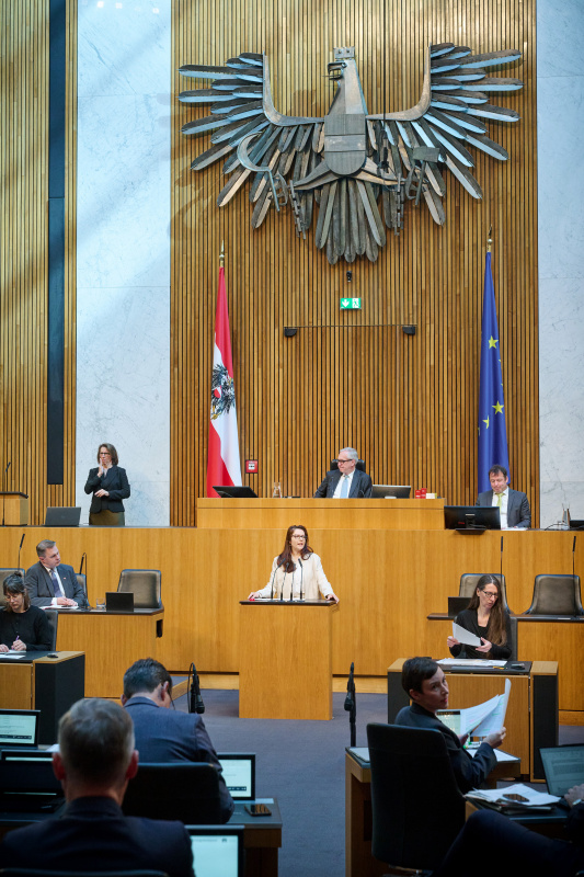 Am Rednerinnenpult: Nationalratsabgeordnete Muna Duzdar (SPÖ)