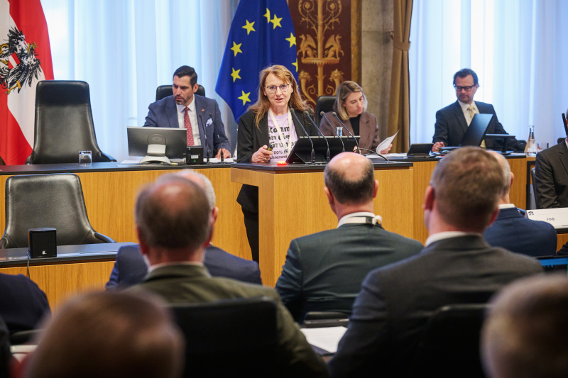 Panel 2: „Ehrenamt – Engagement als Fundament regionaler Stärke“.  Freiwilligenpartnerschaft Tirol Andrea Fink