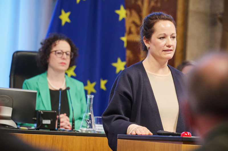 Panel 4: Expertinnen und Experten der Fraktionen. AK-Wien Mara Verlic