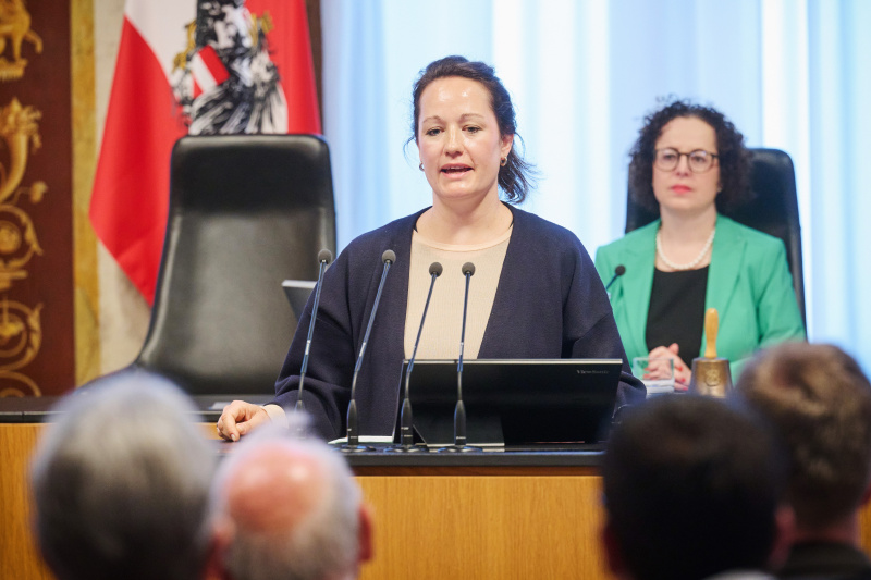 Panel 4: Expertinnen und Experten der Fraktionen. AK-Wien Mara Verlic