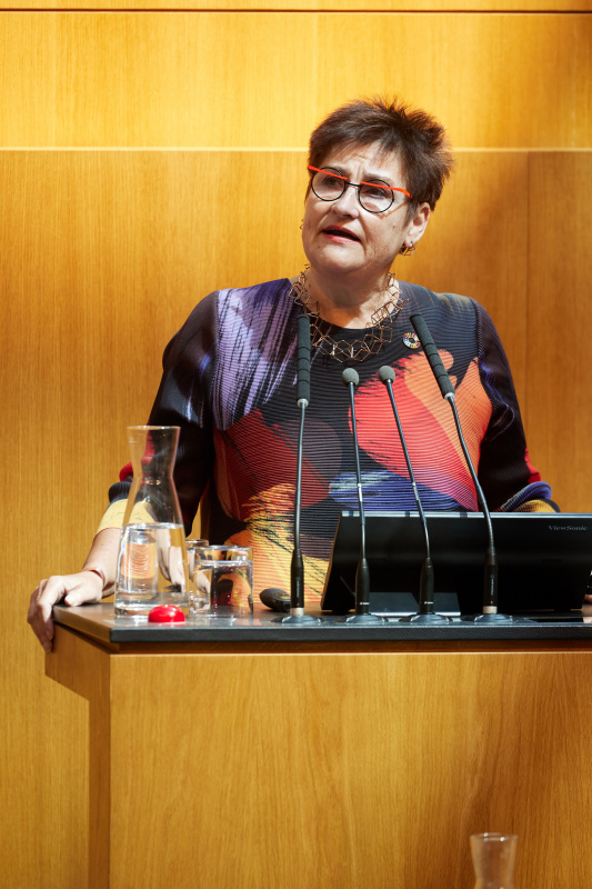 Abschlussworte. Nationalratsabgeordnete und Präsidentin der Parlamentarischen Versammlung des Europarats Petra Bayer (SPÖ)