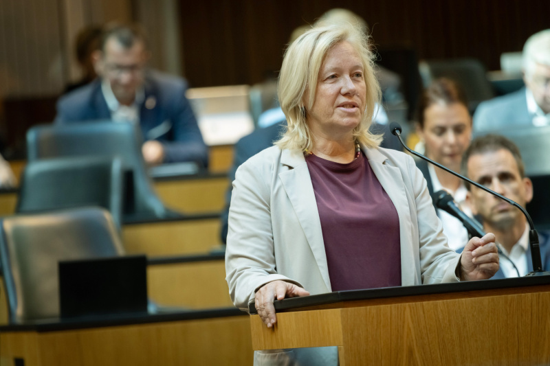 Am Rednerinnenpult: Nationalratsabgeordnete Verena Nussbaum (SPÖ)