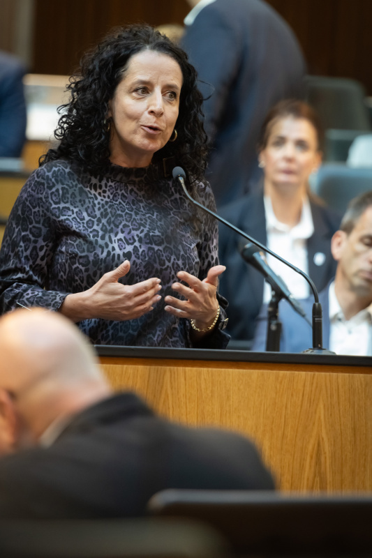 Am Rednerinnenpult: Nationalratsabgeordnete Margreth Falkner (ÖVP)