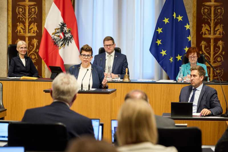 Am Rednerinnenpult Bundesrätin Bernadette Kerschler (SPÖ)