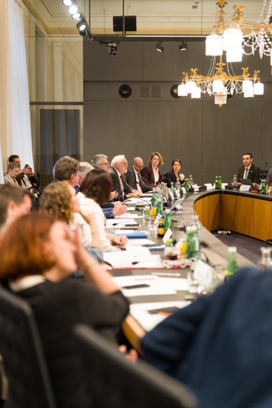 Impulsreferat. Am Wort Rainer Hofmann, Institut für öffentliches Recht, Universität Frankfurt am Main
