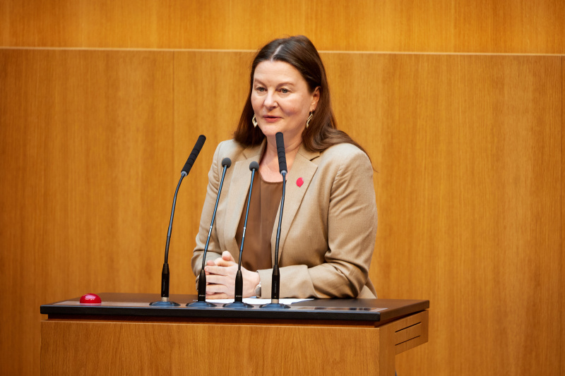 Am Rednerinnenpult: Nationalratsabgeordnete Karin Doppelbauer (NEOS)