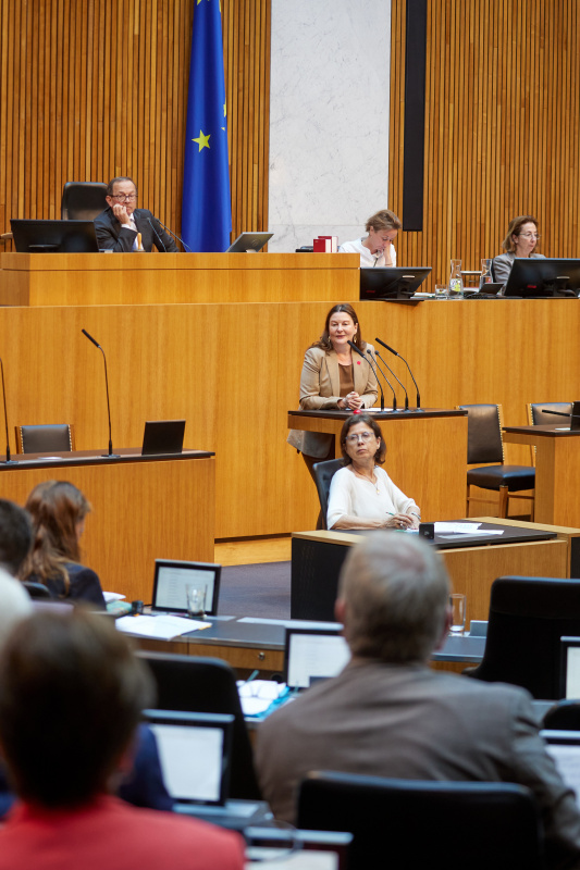 Am Rednerinnenpult: Nationalratsabgeordnete Karin Doppelbauer (NEOS)